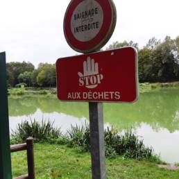 Etang de pêche du Parc Fortier à Saint Saulve dans le département du Nord