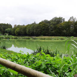 Etang de pêche du Parc Fortier à Saint Saulve dans le département du Nord