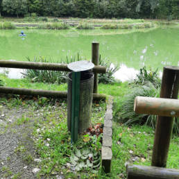 Etang de pêche du Parc Fortier à Saint Saulve dans le département du Nord