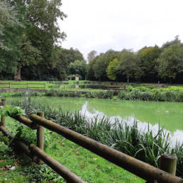 Etang de pêche du Parc Fortier à Saint Saulve dans le département du Nord