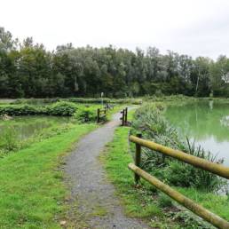 Etang de pêche du Parc Fortier à Saint Saulve dans le département du Nord