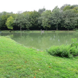 Etang de pêche du Parc Fortier à Saint Saulve dans le département du Nord