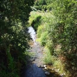 Rivière La Thure Cousolre Nord