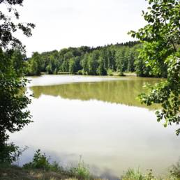 Étang fédéral de Cousolre Nord