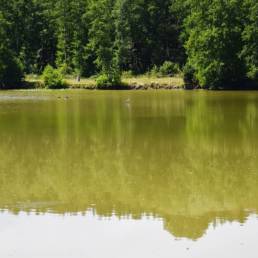 Étang fédéral de Cousolre