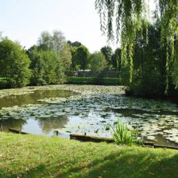 Etang de pêche fédéral d'Englefontaine