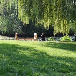 Etang de pêche fédéral d'Englefontaine