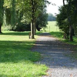 Etang de pêche fédéral d'Englefontaine