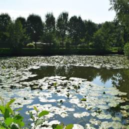 Etang de pêche fédéral d'Englefontaine