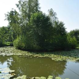 Etang de pêche fédéral d'Englefontaine