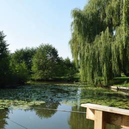 Etang de pêche fédéral d'Englefontaine