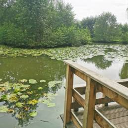 Etang de pêche fédéral d'Englefontaine