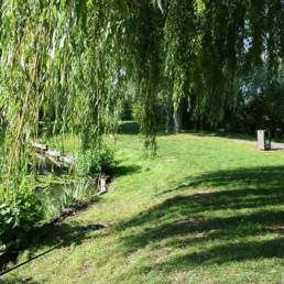 Etang de pêche fédéral d'Englefontaine