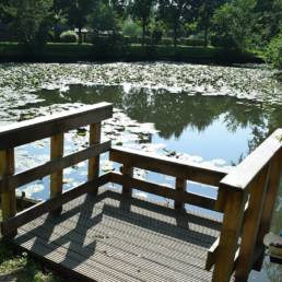 Ponton PMR Etang de pêche fédéral d'Englefontaine