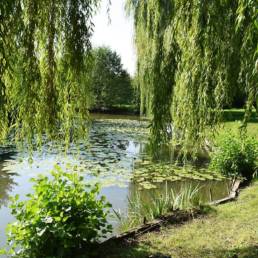 Etang de pêche fédéral d'Englefontaine