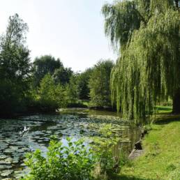 Etang de pêche fédéral d'Englefontaine