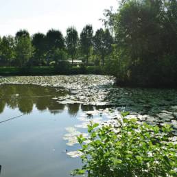 Etang de pêche fédéral d'Englefontaine