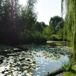Etang de pêche fédéral d'Englefontaine