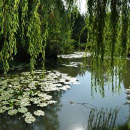 Etang de pêche fédéral d'Englefontaine