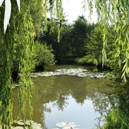 Etang de pêche fédéral d'Englefontaine