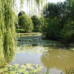 Etang de pêche fédéral d'Englefontaine