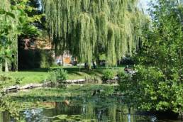 Etang de pêche fédéral d'Englefontaine