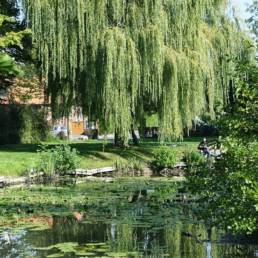 Etang de pêche fédéral d'Englefontaine