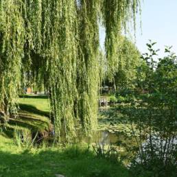 Etang de pêche fédéral d'Englefontaine