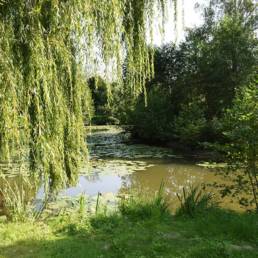 Etang de pêche fédéral d'Englefontaine