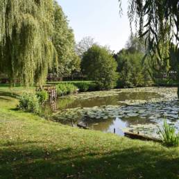 Etang de pêche fédéral d'Englefontaine