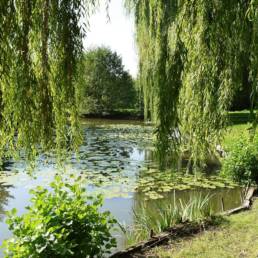 Etang de pêche fédéral d'Englefontaine