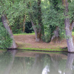 Étang Michel Thierry de Poix-du-Nord