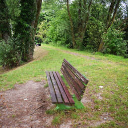 Banc Étang Michel Thierry de Poix-du-Nord
