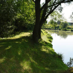 Étang Michel Thierry de Poix-du-Nord