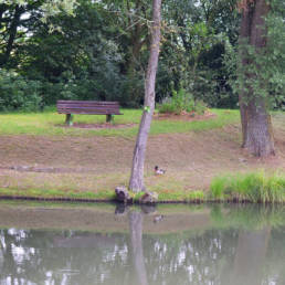 Banc - Étang Michel Thierry de Poix-du-Nord