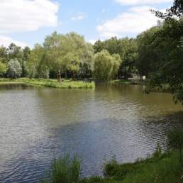 Etang de pêche Marais saint Charles à Lallaing dans le Nord