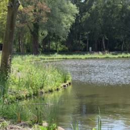 Etang de pêche Marais saint Charles à Lallaing dans le Nord