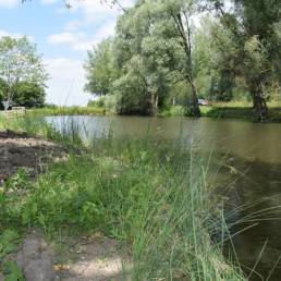 Etang de pêche Marais saint Charles à Lallaing dans le Nord