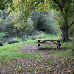 Table pique nique Etang de pêche Marais saint Charles à Lallaing dans le Nord