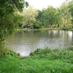 Etang de pêche Marais saint Charles à Lallaing dans le Nord