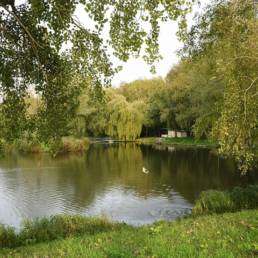 Etang de pêche Marais saint Charles à Lallaing dans le Nord