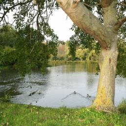 Etang de pêche Marais saint Charles à Lallaing dans le Nord