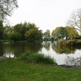 Etang de pêche Marais saint Charles à Lallaing dans le Nord