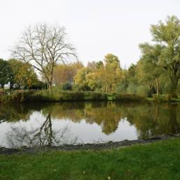 Etang de pêche Marais saint Charles à Lallaing dans le Nord