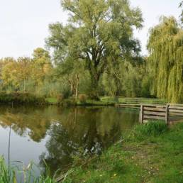 Etang de pêche Marais saint Charles à Lallaing dans le Nord