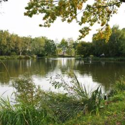 Etang de pêche Marais saint Charles à Lallaing dans le Nord