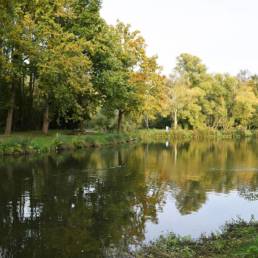 Etang de pêche Marais saint Charles à Lallaing dans le Nord