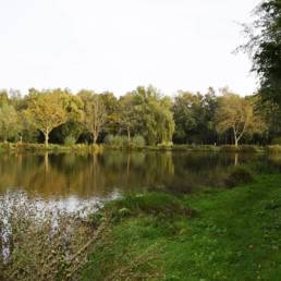 Etang de pêche Marais saint Charles à Lallaing dans le Nord