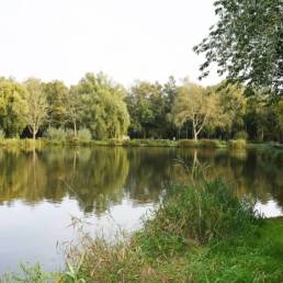 Etang de pêche Marais saint Charles à Lallaing dans le Nord