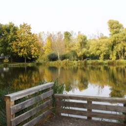 ponton PMR Etang de pêche Marais saint Charles à Lallaing dans le Nord